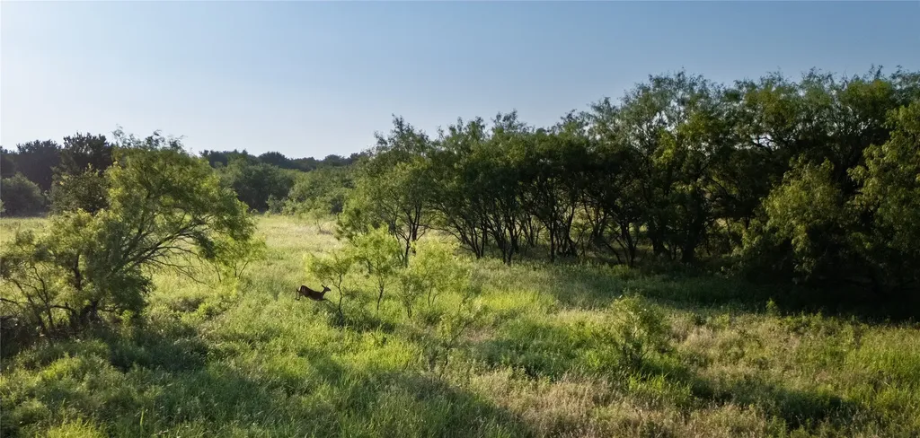 Tbd Tidwell Weatherford TX 76462