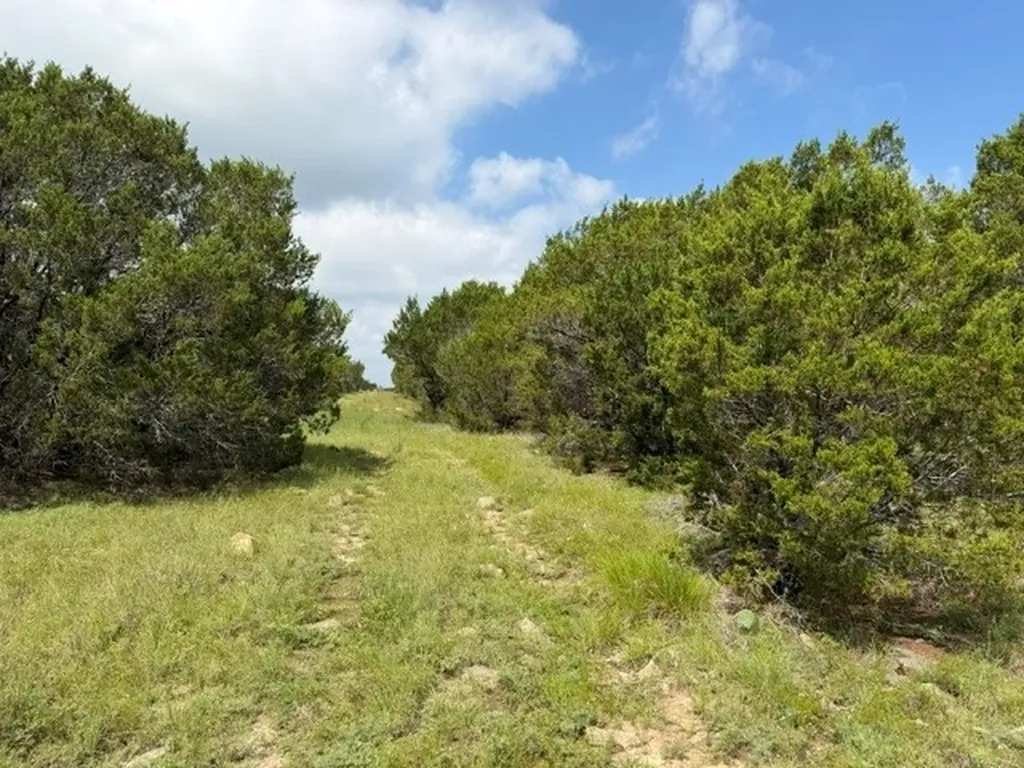 3828 W Fm 219 Hico TX 76457