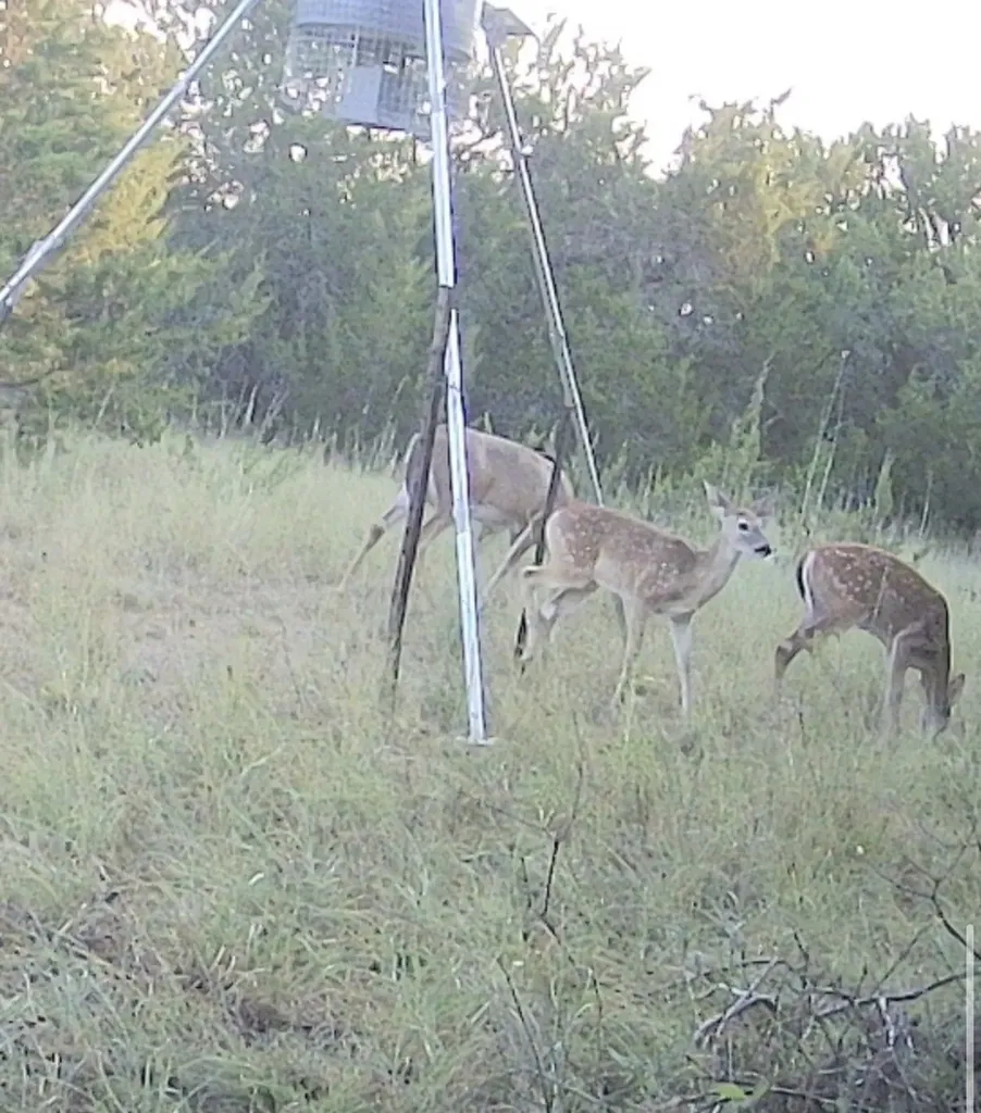 3828 W Fm 219 Hico TX 76457