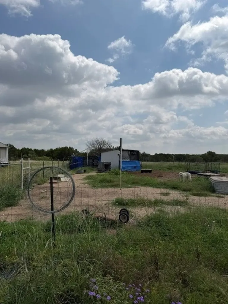 3828 W Fm 219 Hico TX 76457