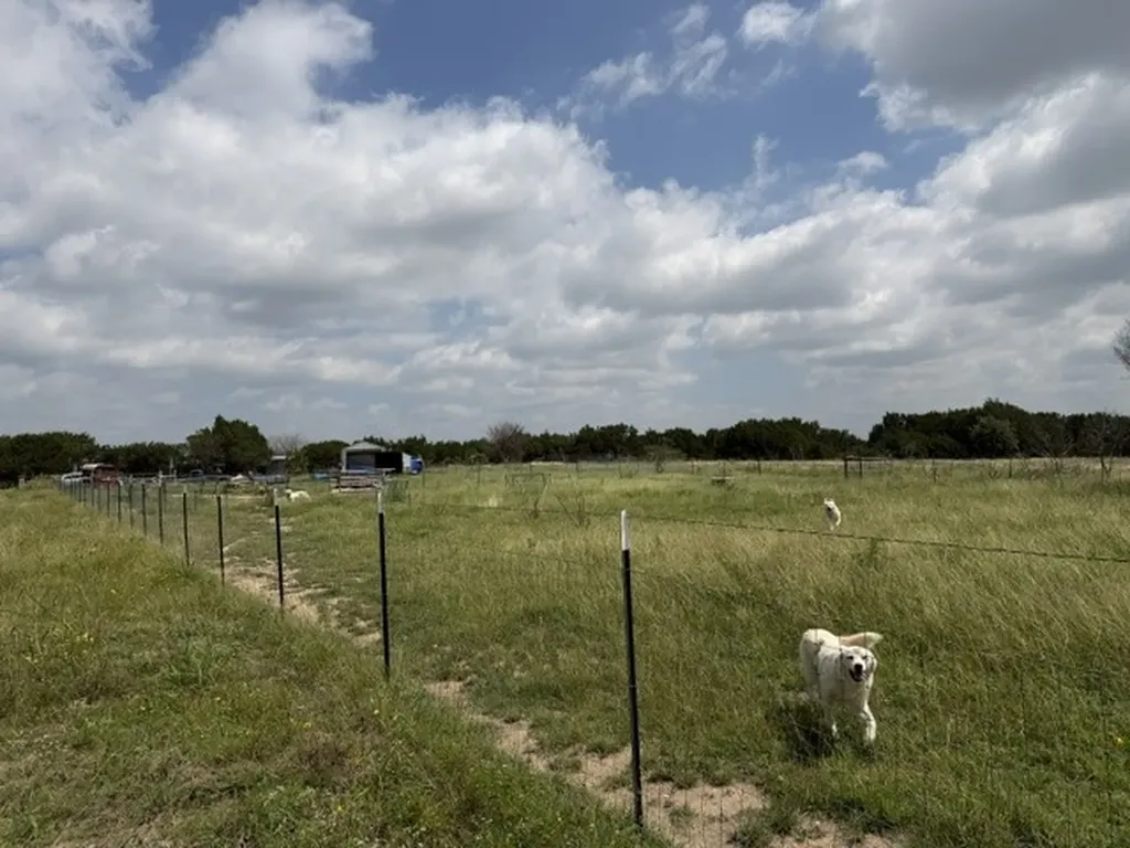 3828 W Fm 219 Hico TX 76457