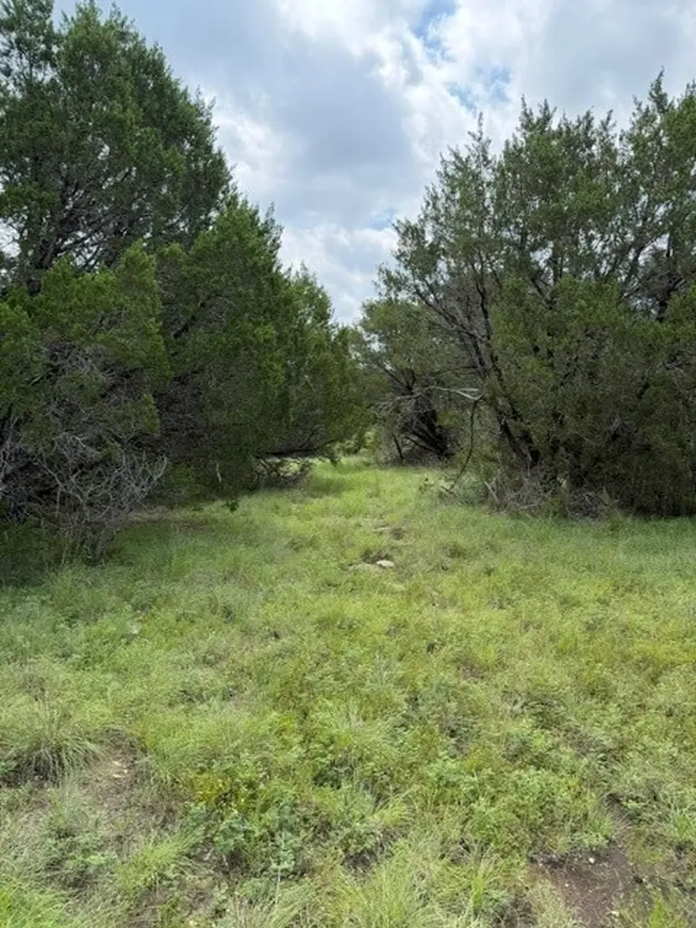 3828 W Fm 219 Hico TX 76457