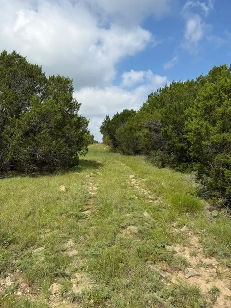 3828 W Fm 219 Hico TX 76457