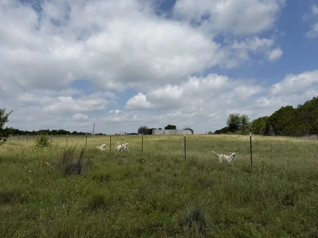 3828 W Fm 219 Hico TX 76457