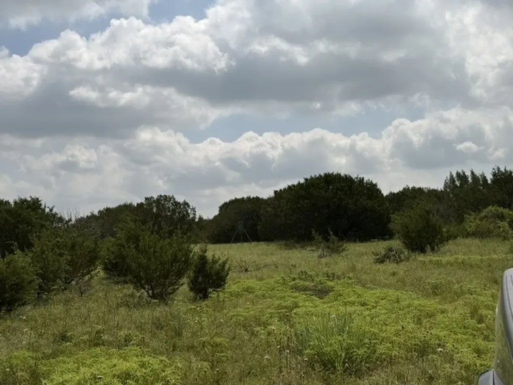 3828 W Fm 219 Hico TX 76457