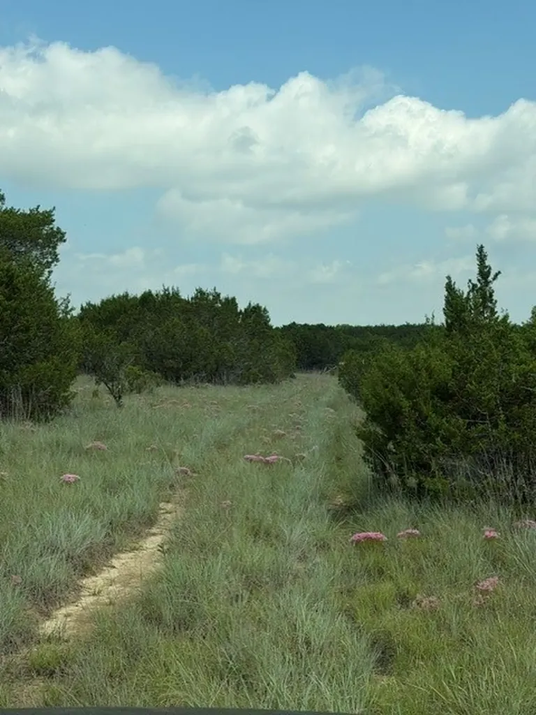 3828 W Fm 219 Hico TX 76457