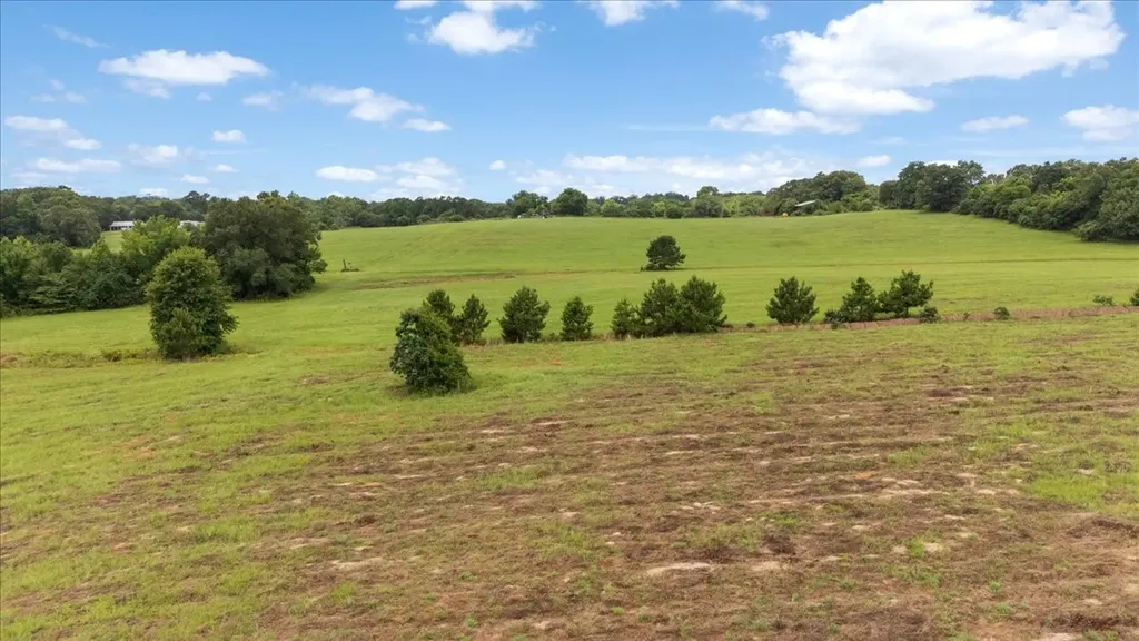 3989 Bob O Link Road Gilmer TX 75645