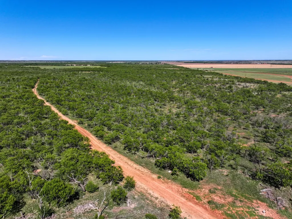 Tbd Tract 14 Fm 1812 Hawley TX 79525