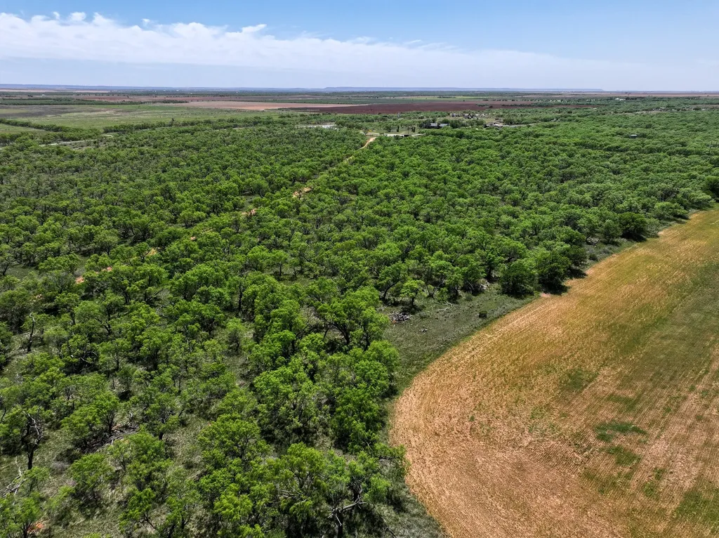 Tbd Tract 14 Fm 1812 Hawley TX 79525