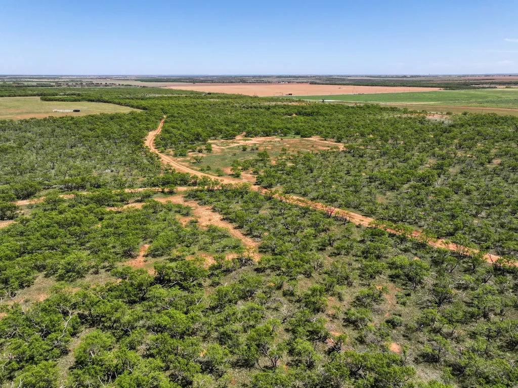 Tbd Tract 14 Fm 1812 Hawley TX 79525