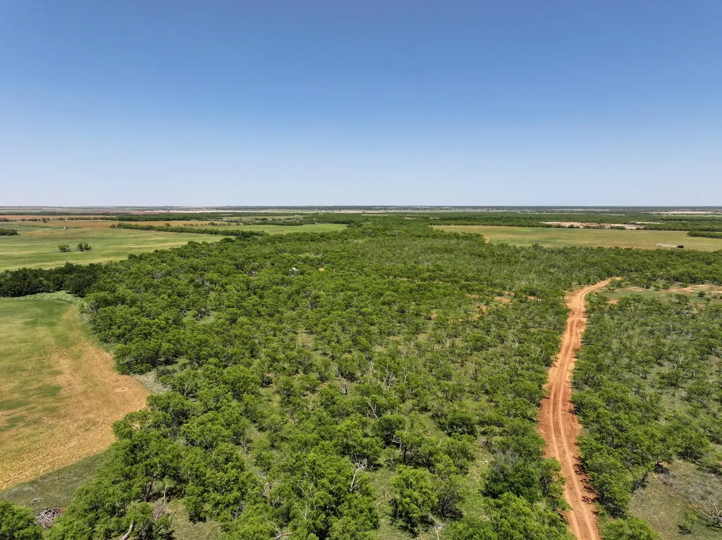 Tbd Tract 14 Fm 1812 Hawley TX 79525