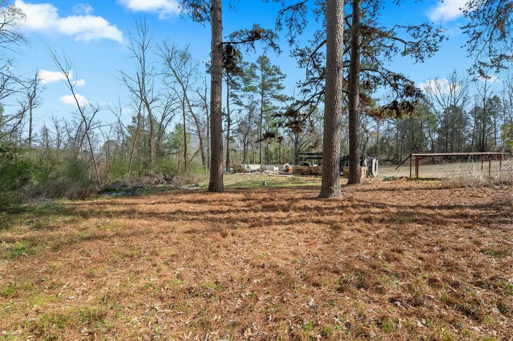 282 County Road 1100 Daingerfield TX 75638