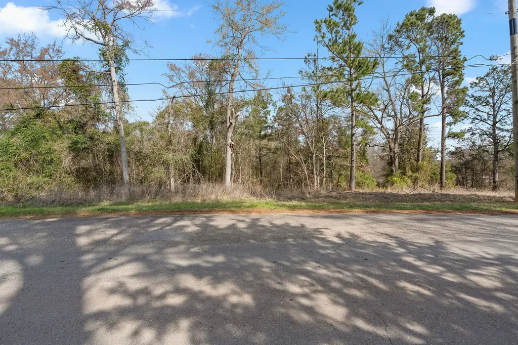 282 County Road 1100 Daingerfield TX 75638