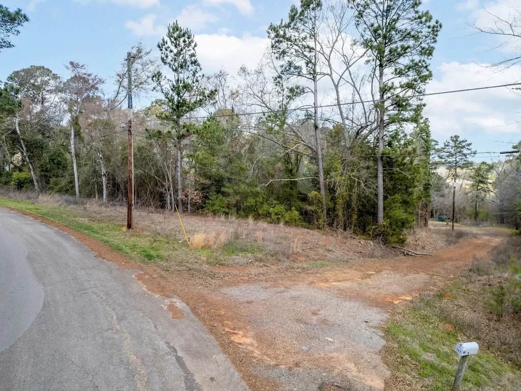 282 County Road 1100 Daingerfield TX 75638