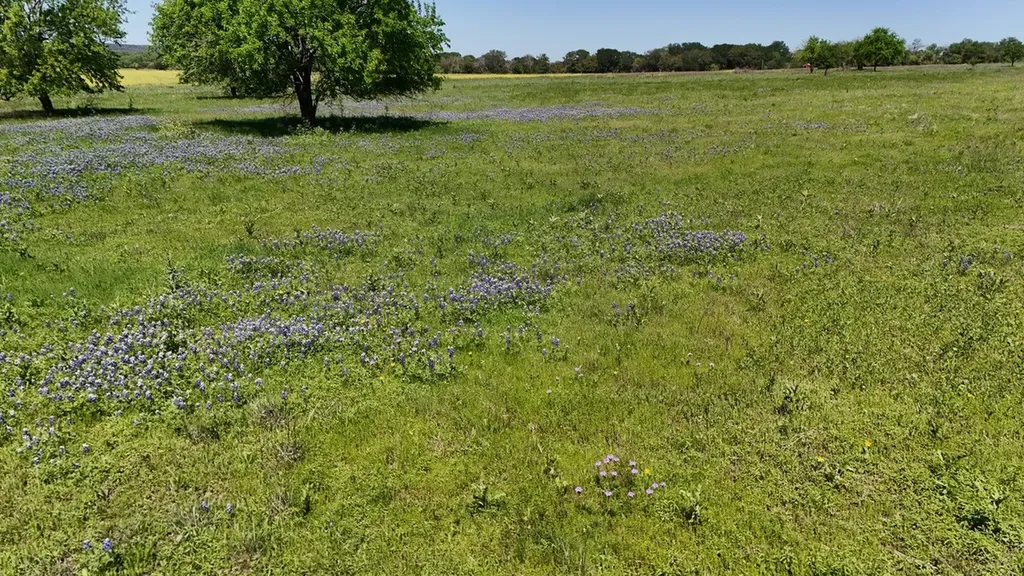 2031-03 County Road 3310 Valley Mills TX 76689
