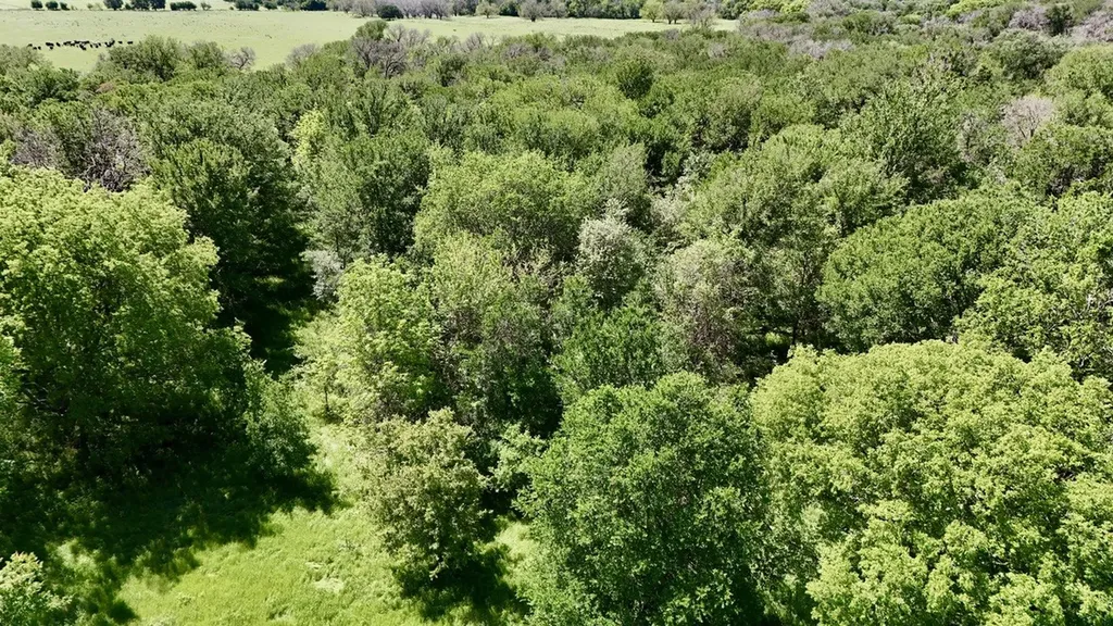 2031-03 County Road 3310 Valley Mills TX 76689