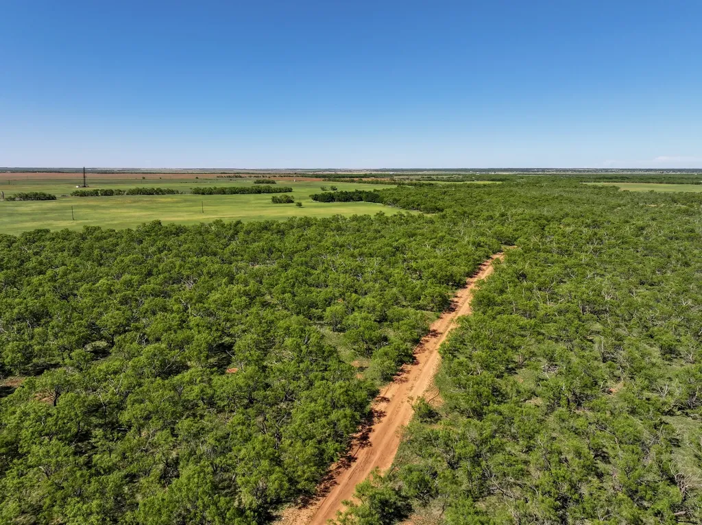 Tbd Tract 12 Fm 1812 Hawley TX 79525