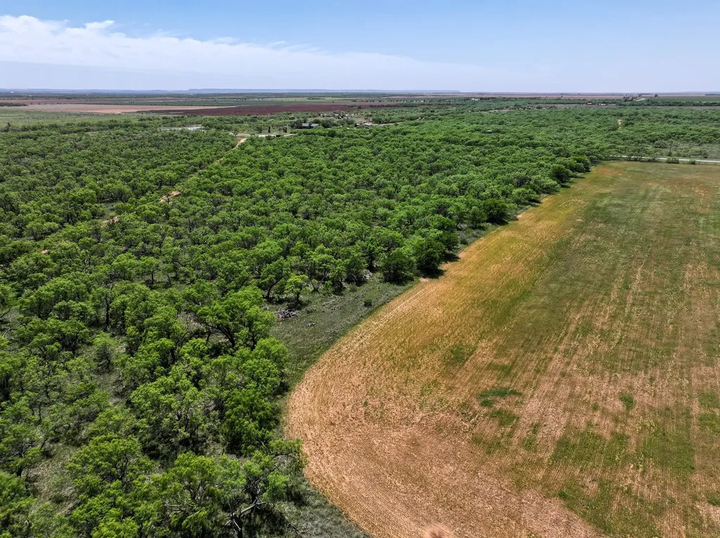 Tbd Tract 12 Fm 1812 Hawley TX 79525