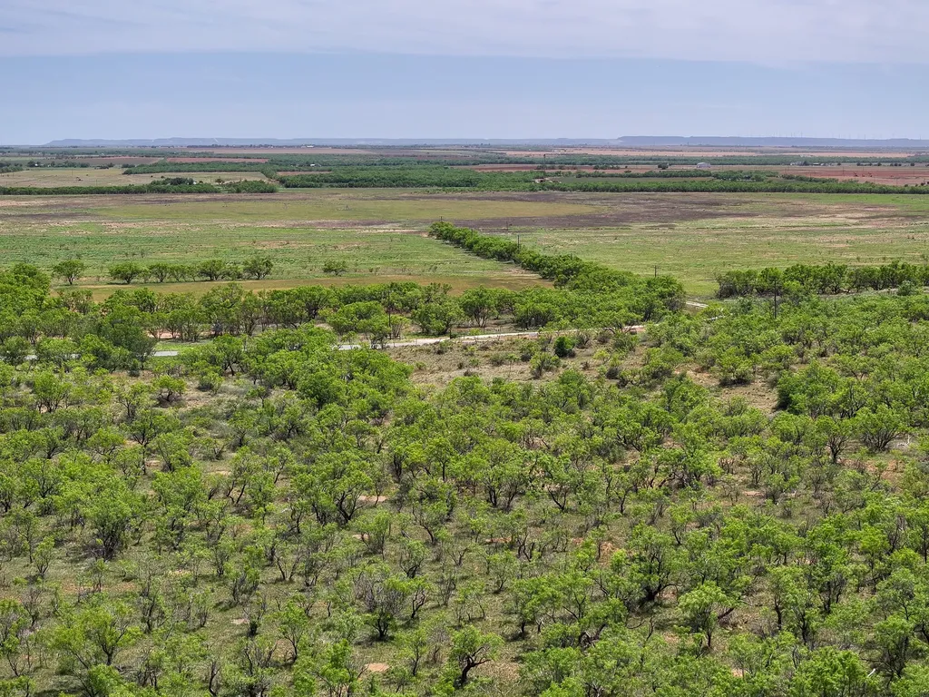 Tbd Tract 12 Fm 1812 Hawley TX 79525