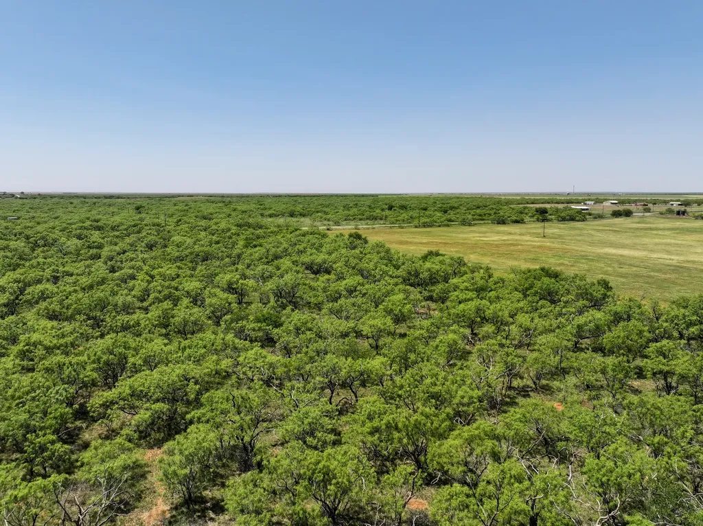 Tbd Tract 12 Fm 1812 Hawley TX 79525
