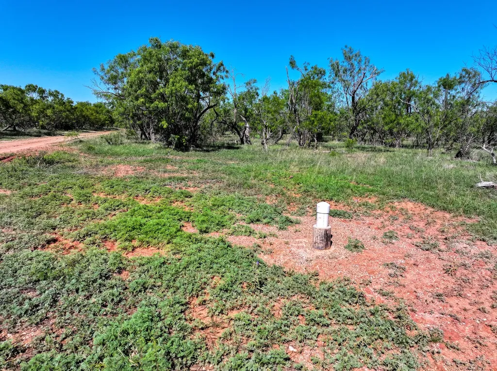 Tbd Tract 12 Fm 1812 Hawley TX 79525