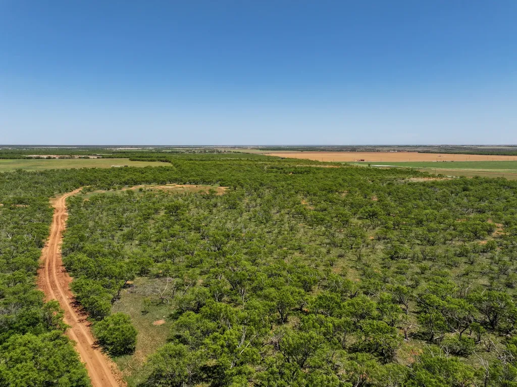 Tbd Tract 12 Fm 1812 Hawley TX 79525