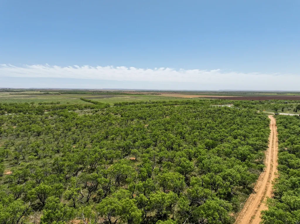 Tbd Tract 12 Fm 1812 Hawley TX 79525