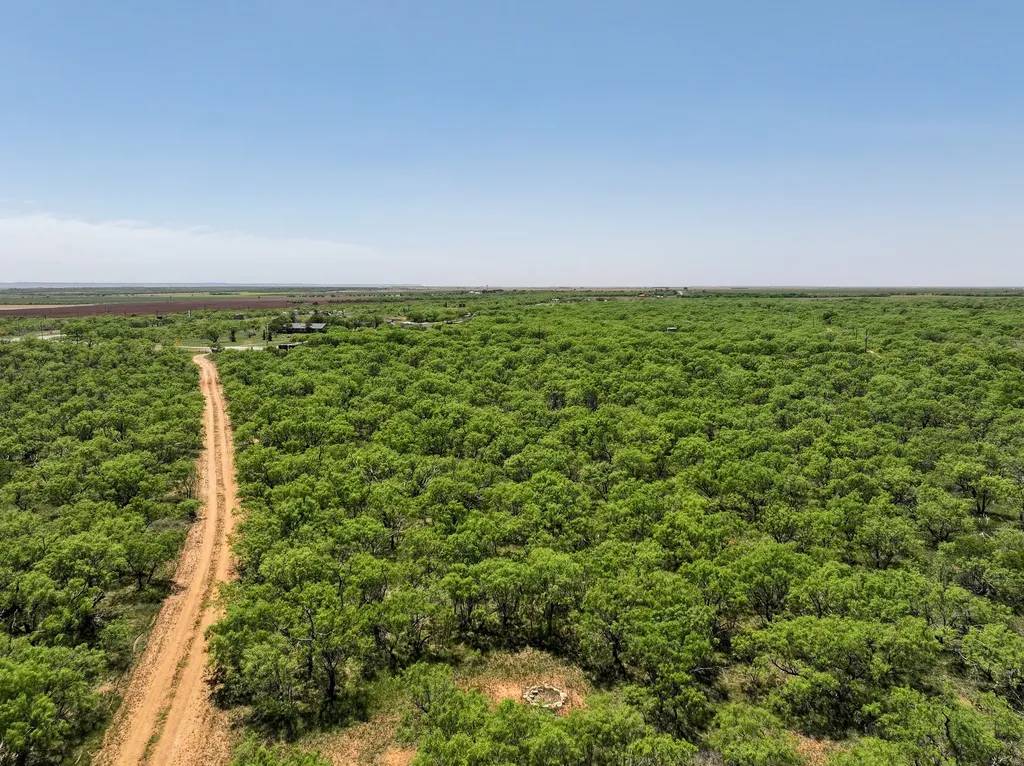 Tbd Tract 12 Fm 1812 Hawley TX 79525
