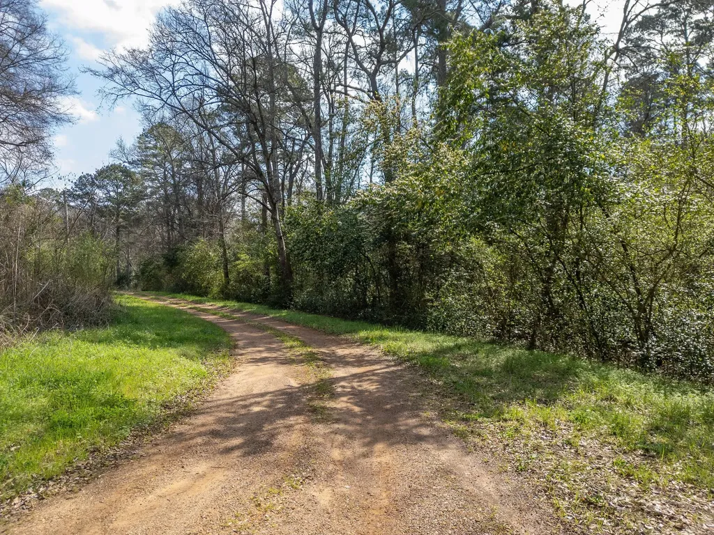 Tbd Jefferson Daingerfield TX 75638