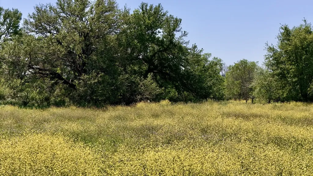2031-02 County Road 3310 Valley Mills TX 76689