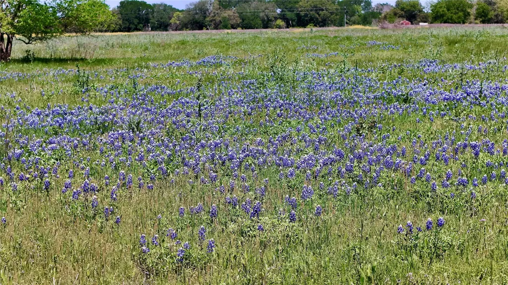 2031-01 County Road 3310 Valley Mills TX 76689