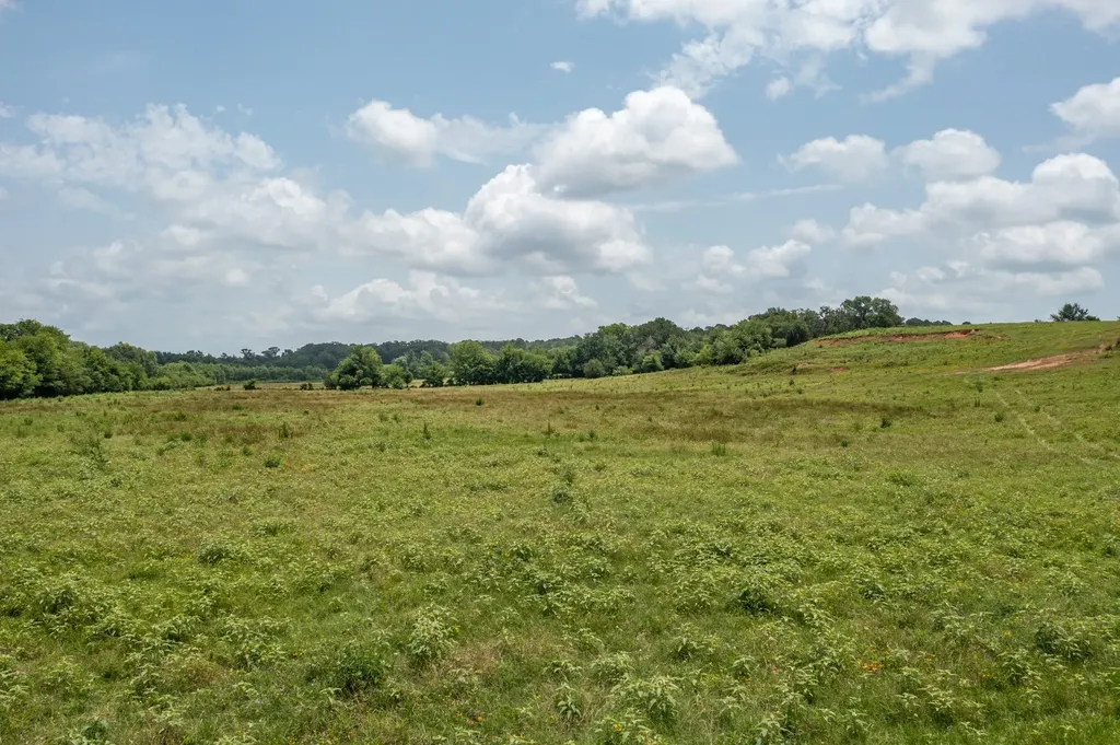 N/a Fm 3019 Winnsboro TX 75494