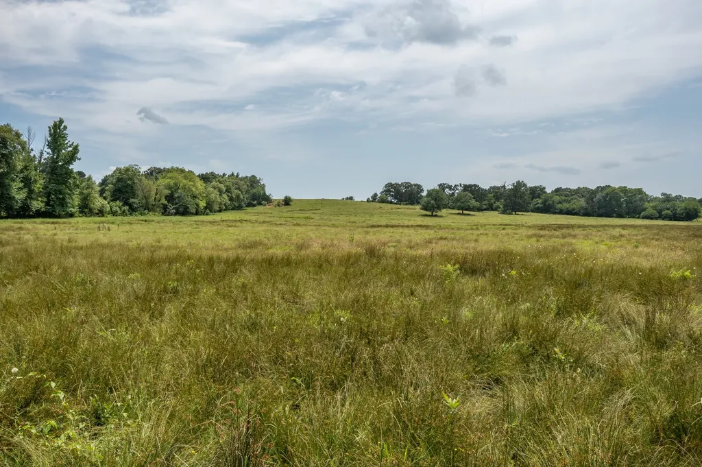 N/a Fm 3019 Winnsboro TX 75494