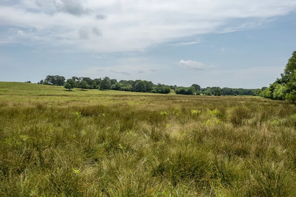N/a Fm 3019 Winnsboro TX 75494