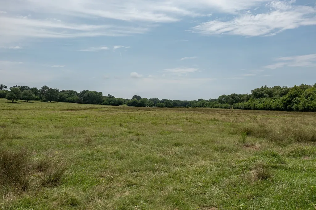 N/a Fm 3019 Winnsboro TX 75494