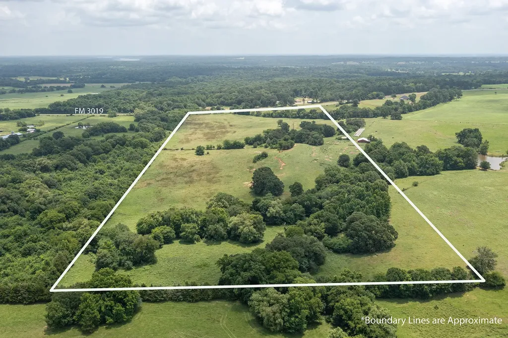 N/a Fm 3019 Winnsboro TX 75494