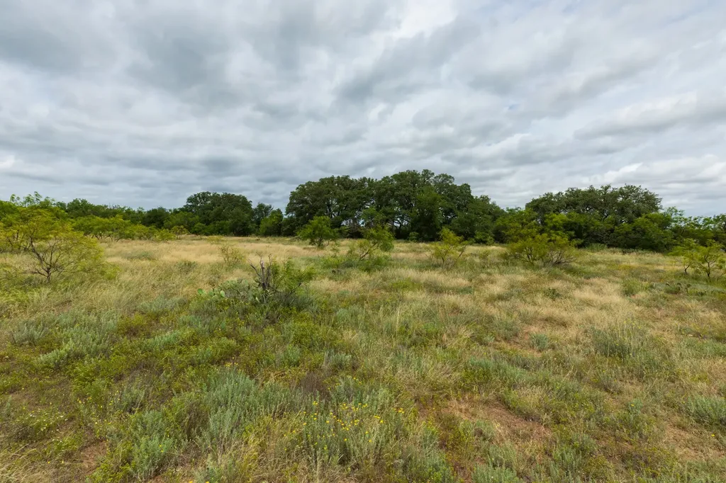 Tbd Cr 255 Oplin TX 79510