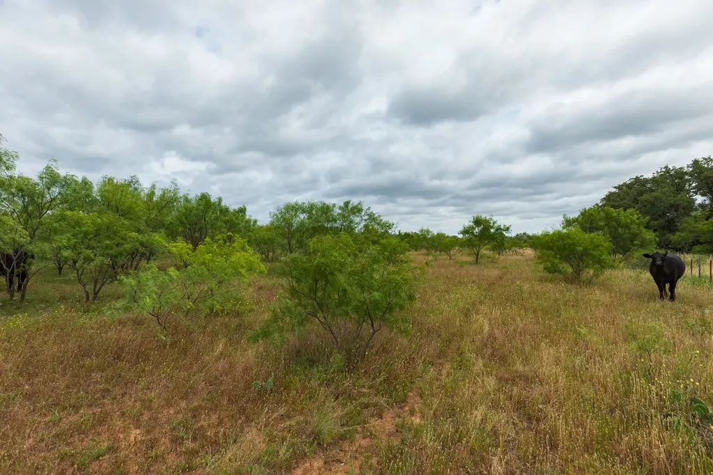 Tbd Cr 255 Oplin TX 79510