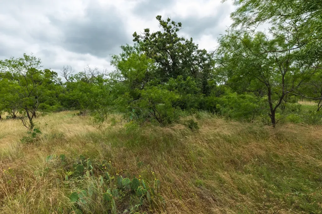 Tbd Cr 255 Oplin TX 79510