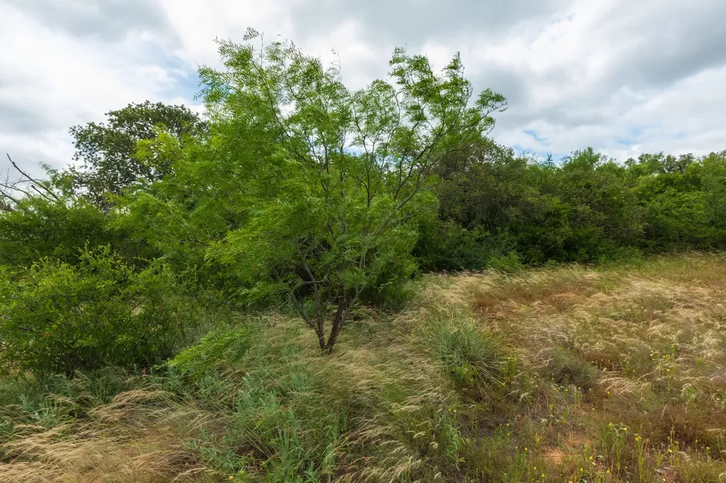 Tbd Cr 255 Oplin TX 79510
