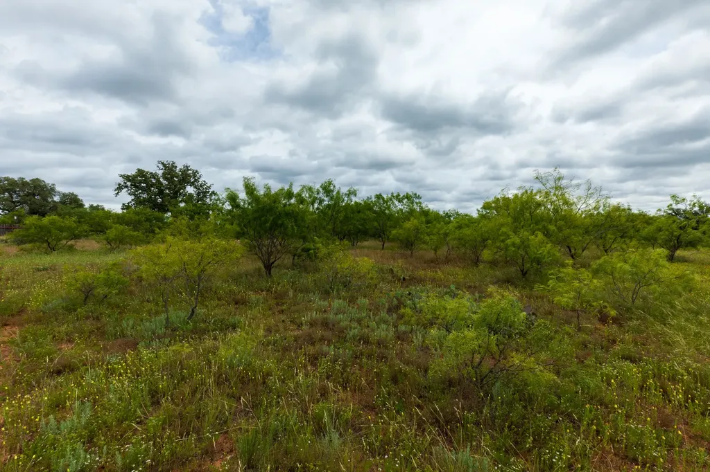 Tbd Cr 255 Oplin TX 79510