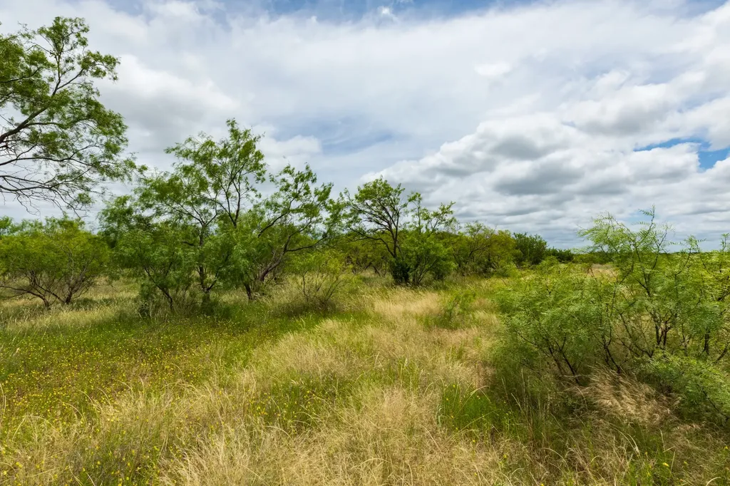 Tbd Cr 255 Oplin TX 79510