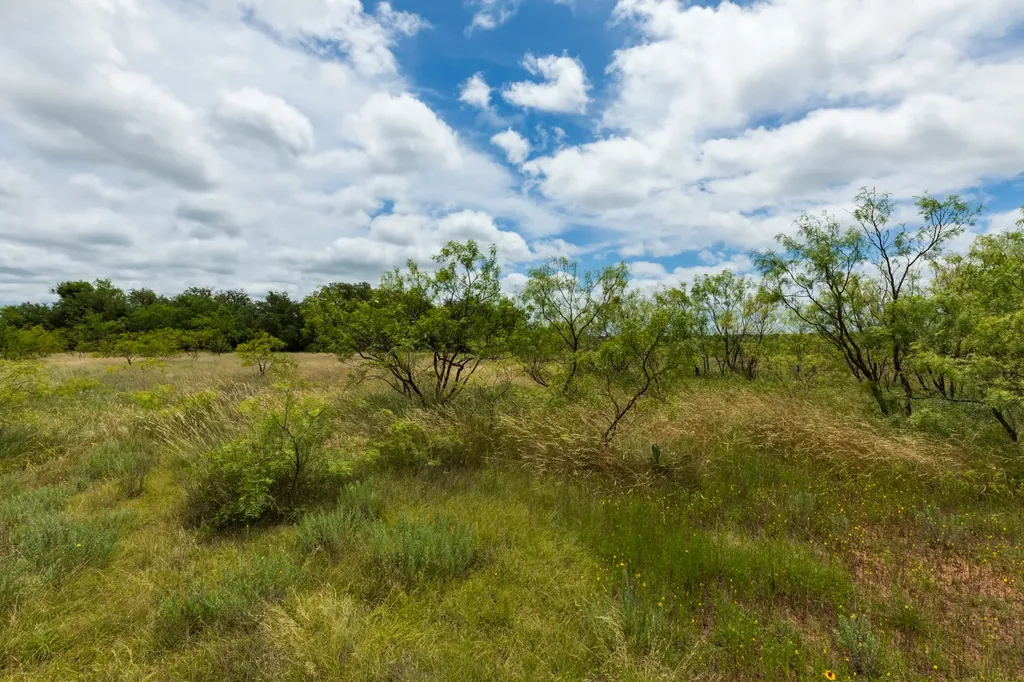 Tbd Cr 255 Oplin TX 79510