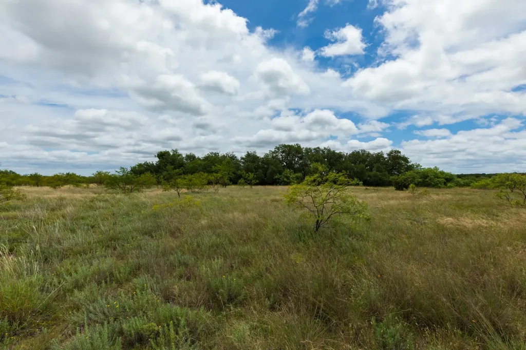 Tbd Cr 255 Oplin TX 79510
