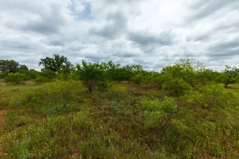 Tbd Cr 255 Oplin TX 79510
