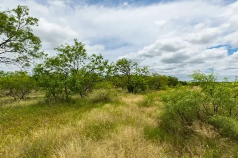 Tbd Cr 255 Oplin TX 79510