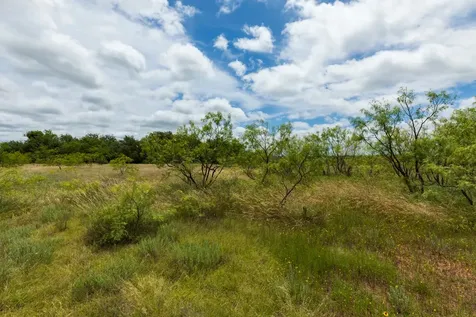 Tbd Cr 255 Oplin TX 79510