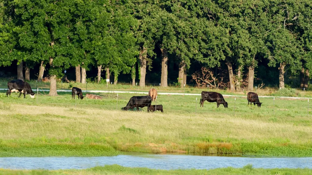 400 Smith Ranch Road Collinsville TX 76233
