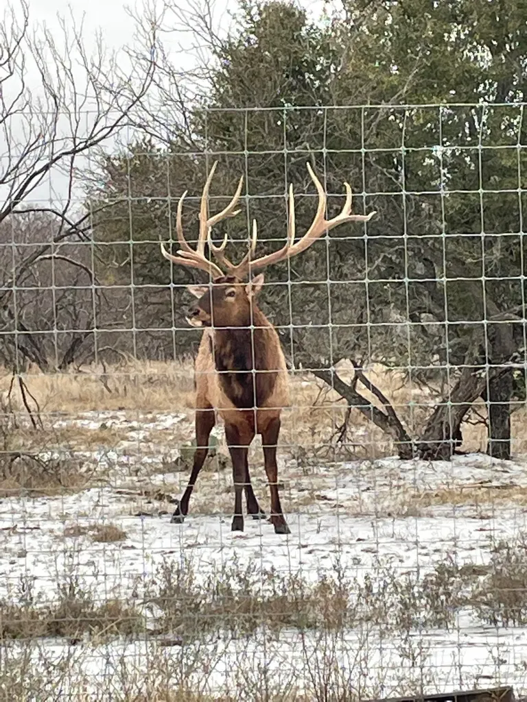 2046 County Road 103 Comanche TX 76442