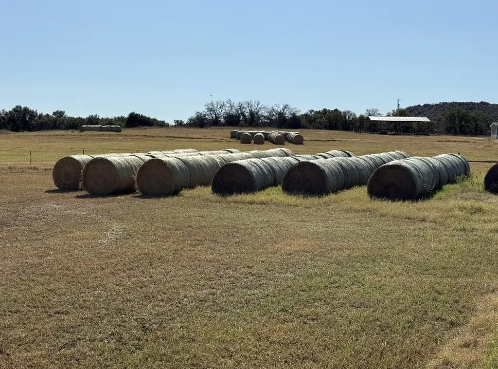2046 County Road 103 Comanche TX 76442